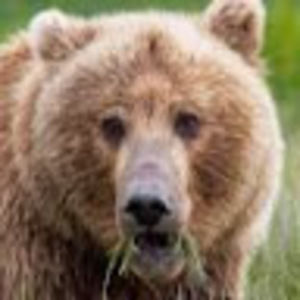 Meet your Posher, Katherine